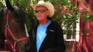 Horseback Riding Ottawa - What are the advantages of horseback riding lessons?