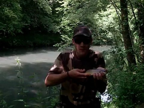 truite au vairon manié 54