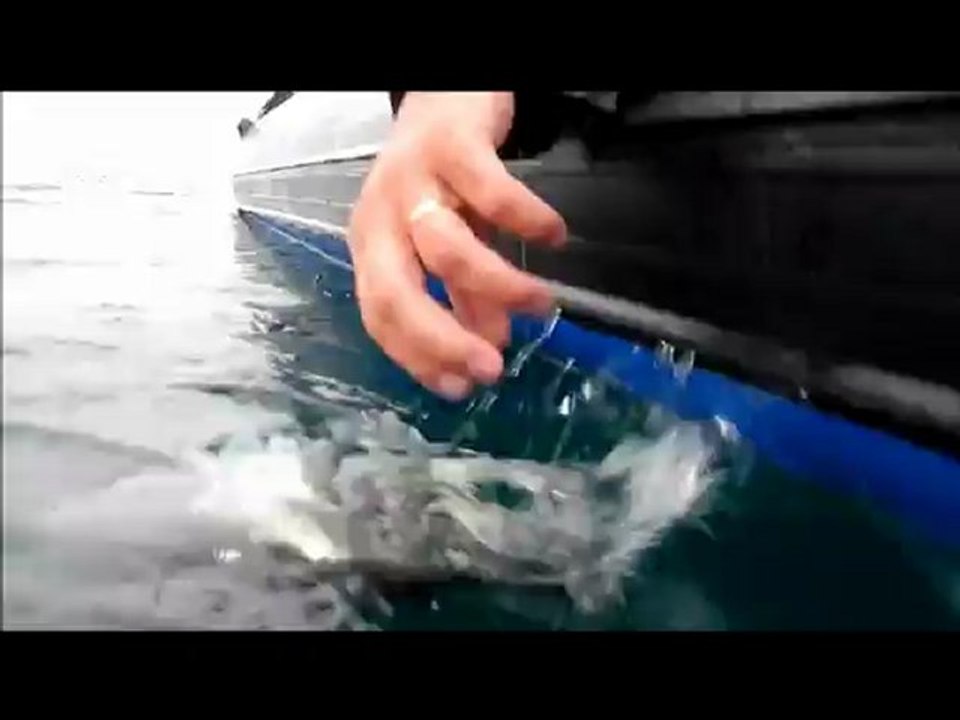 Too Aïe Fishing - Sur Seabass Rods Fishing Boat ...