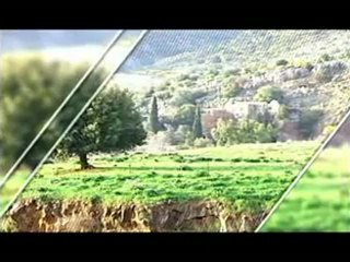 فلسطين هذا الصباح 28 - 6 الخميس1_chunk_2