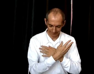 Ratziel Bander erläutert das Konzept von Hsin Tao