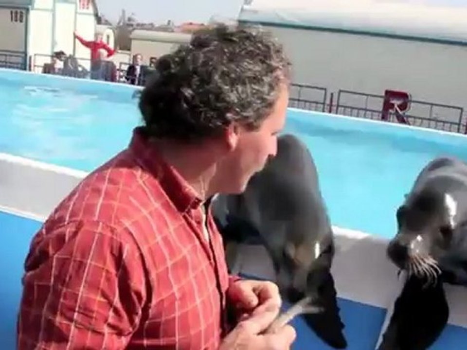 Circus Krone 2011 - Seelöwen (Petra & Roland Duss) im 'Celebration' Programm