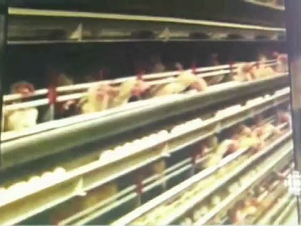 Les + brillants encouragent les + brillants