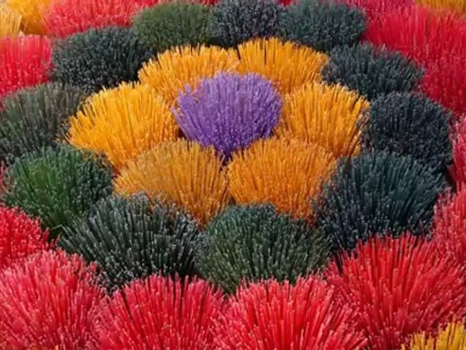 Agence locale de voyage au Vietnam