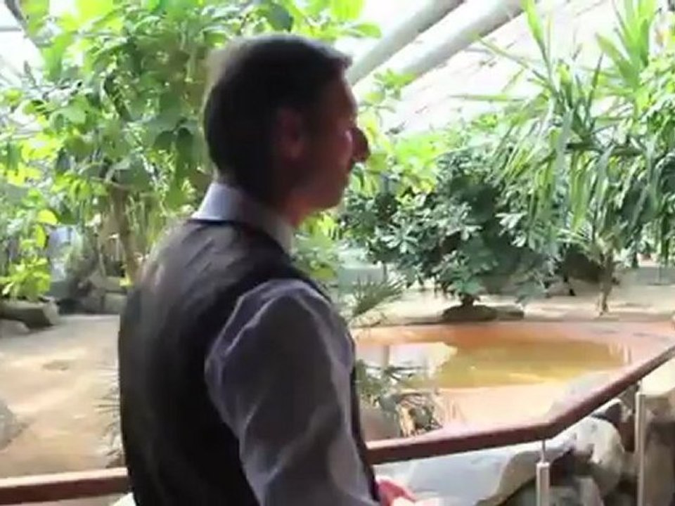 Saisonstart 2011 Tierpark Hellabrunn - Humboldtpinguine und mehr