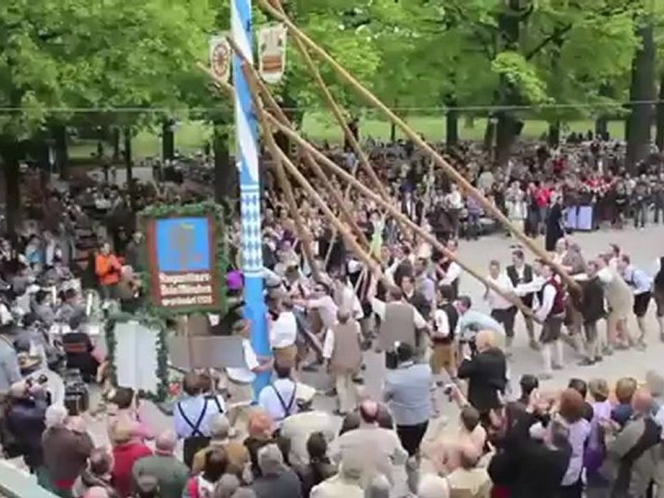 Maibaum aufstellen 2011 im Königl. Hirschgarten München