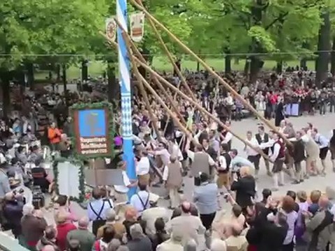 Maibaum aufstellen 2011 im Königl. Hirschgarten München