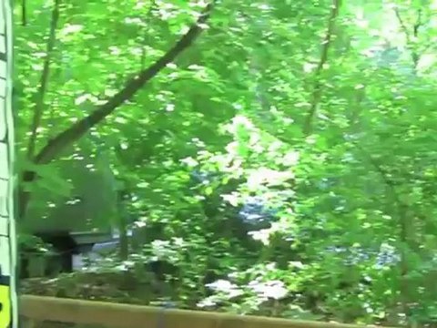 4. Münchner Kindl Lauf 2011 - Hauptlauf 5 + 10 km