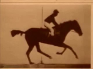 The Horse in Motion 1878 - Silkscreened