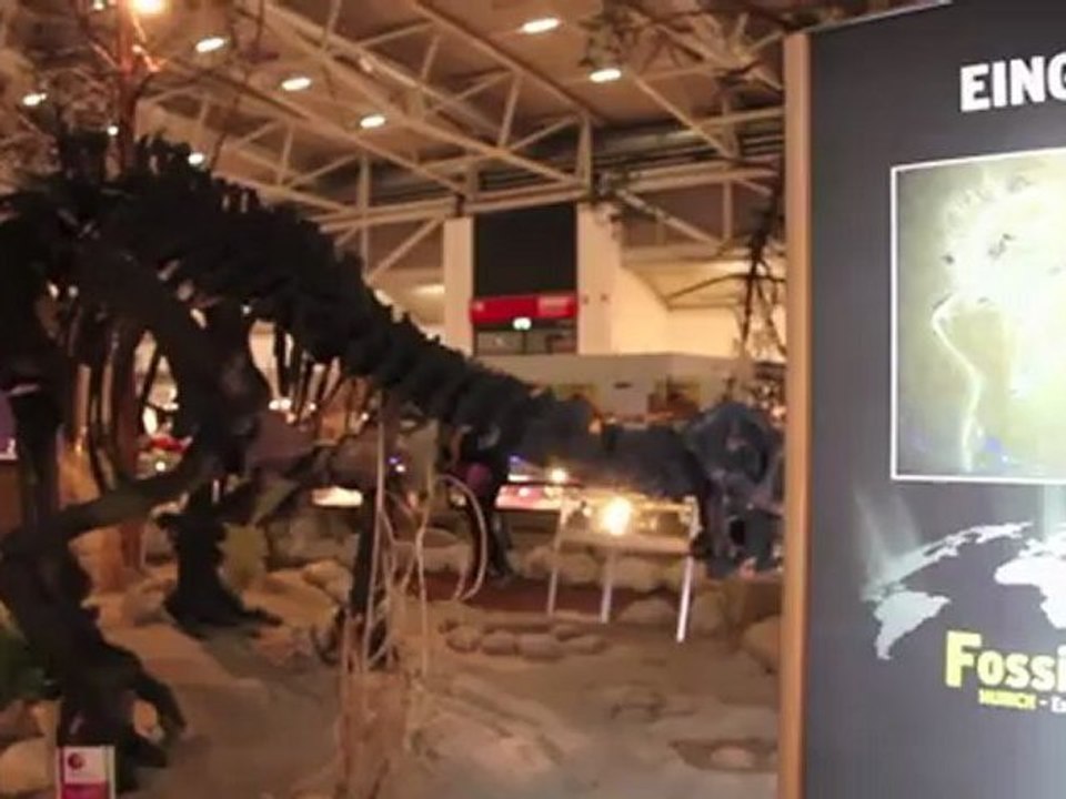 „Munich Show -- Mineralientage München' Impressionen 2011