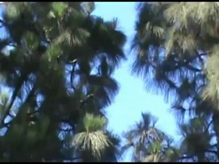 ufo .Hollywood . usa.27.06. 2012