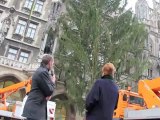 Aus Aschau im Zillertal nach München: Christbaum Christkindlmarkt Marienplatz 2011