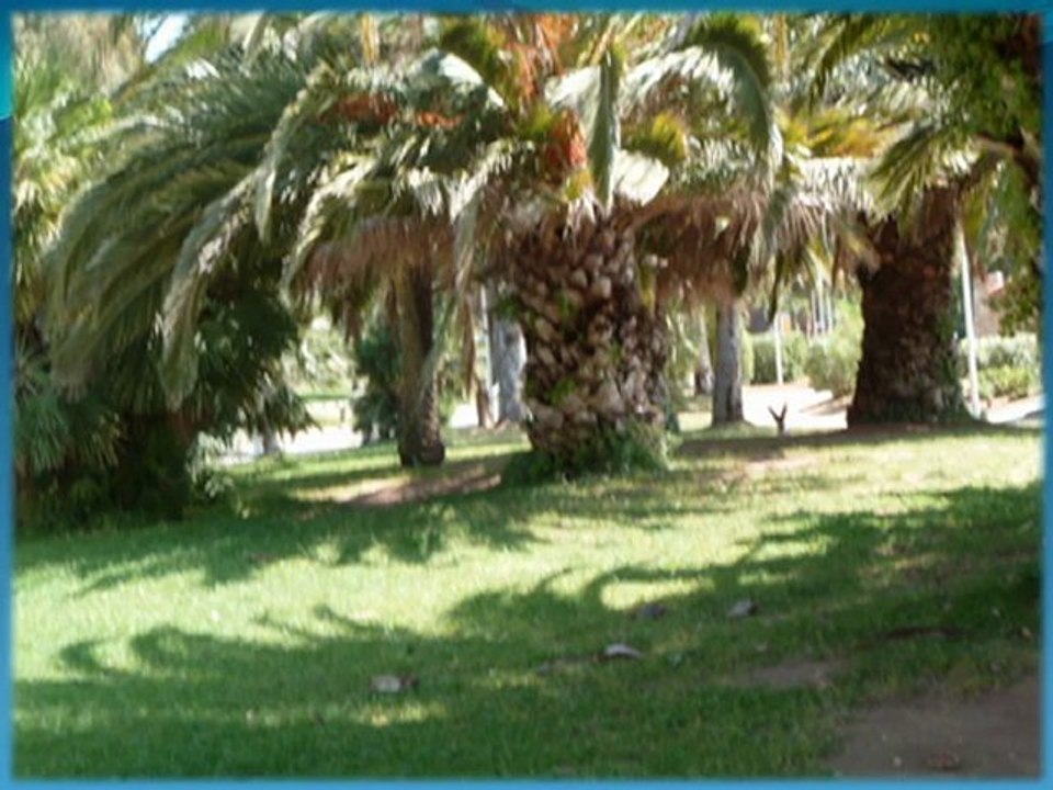 plages du mourillon  musique le soleil le ciel et la mer