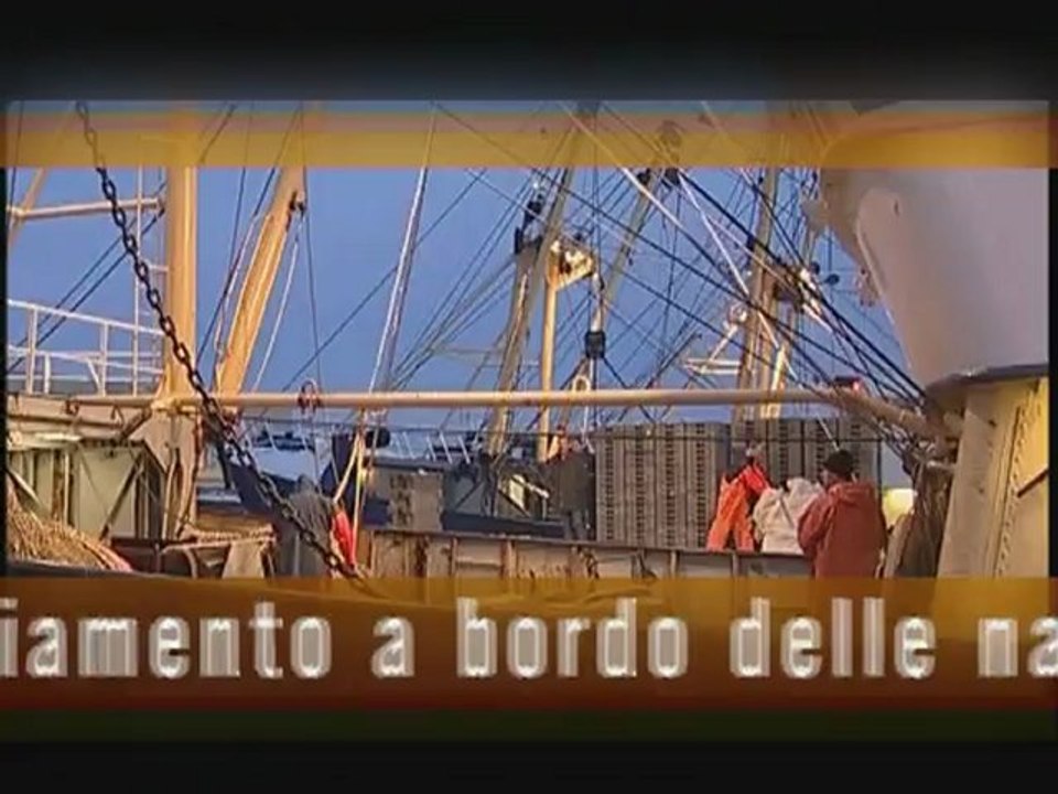DIRITTO DELL'UE- Europa domani