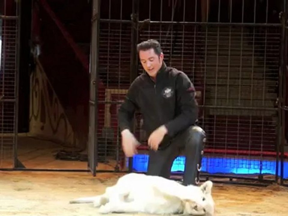 Martin Lacey jr. & weisses Löwenbaby Baluga (6 Monate)