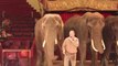 Circus Krone 2012: öffentliche kommentierte Elefantenprobe mit Sonni Frankello