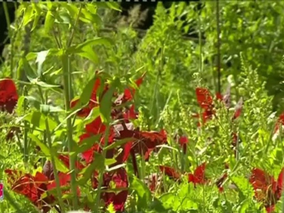 La Mission Ecologie urbaine, Energie & Environnement de la ville de Clermont-Ferrand