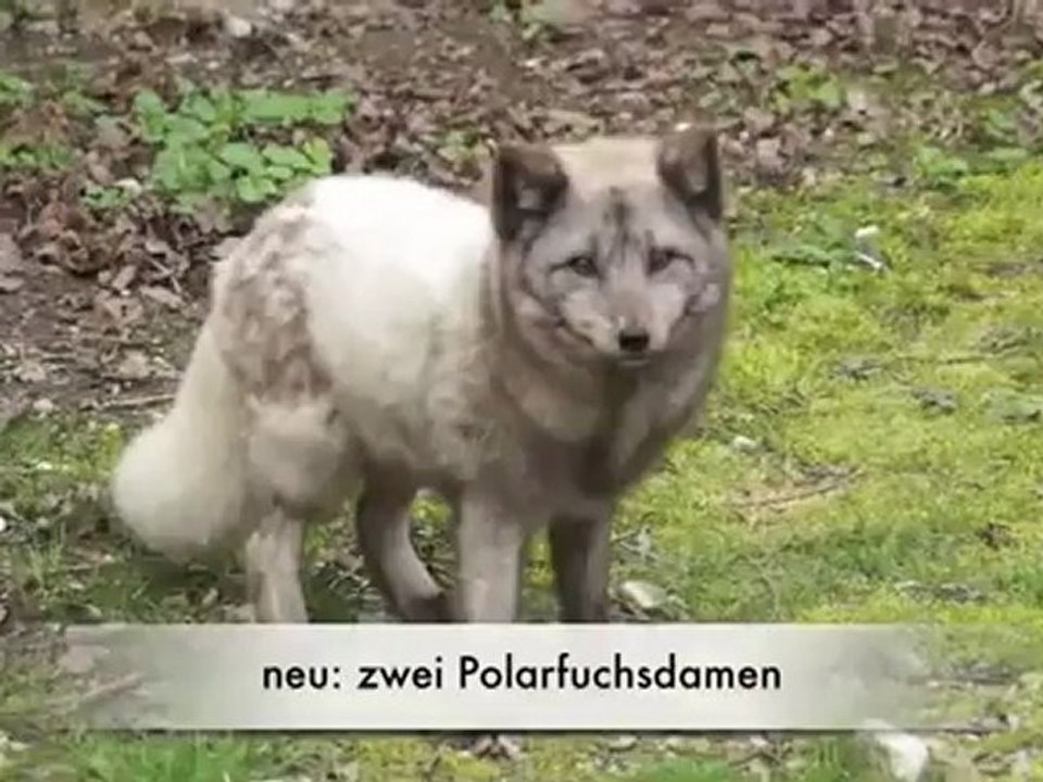 Ostern 2012 @ Tierpark Hellabrunn, München