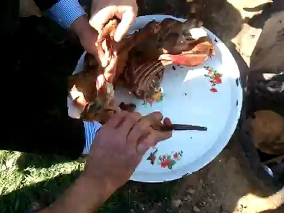 video-2012-04-22-15-19-34