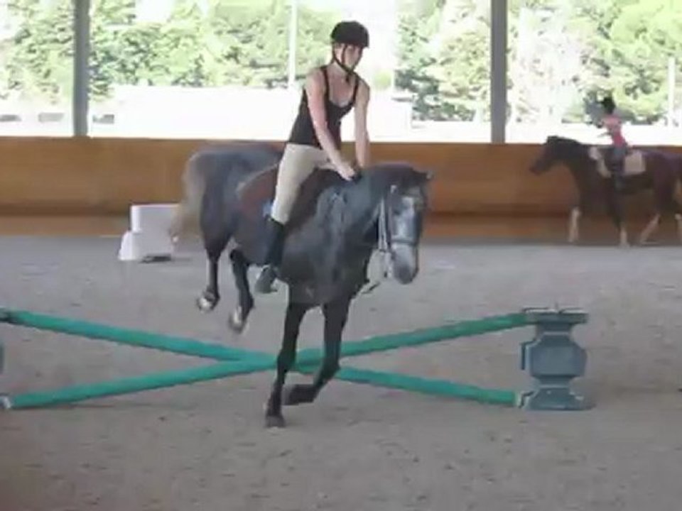 canonavalonphotospassagegalop2etautre2 059