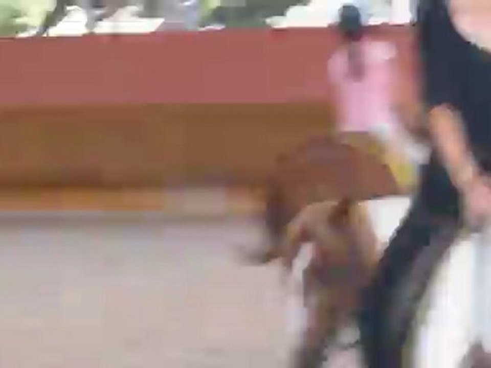 canonavalonphotospassagegalop2etautre2 060