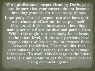 Importance of Carpet Cleaning