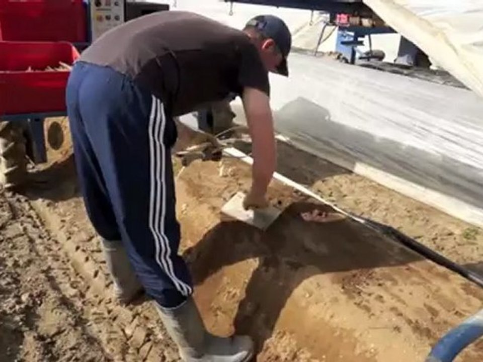 Auf dem Spargelfeld von Spargelhof Karl - Infos zum Spargelanbau