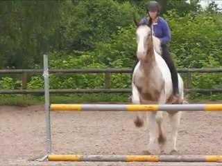 Démonstration ethologique ucpa Torcy