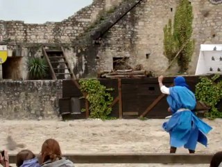 Provins 233