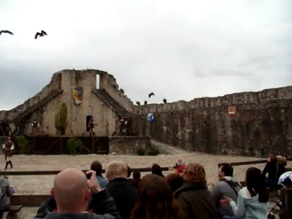 Provins 239