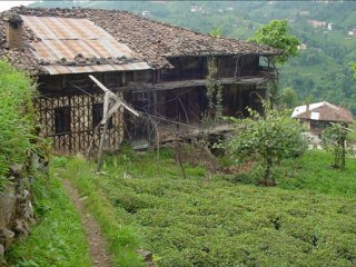 olmadi bu sevdaluk