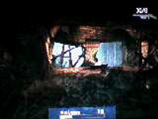 king kong voyda 1904 v-rex