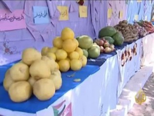 تطبيق اتفاقية الدوحة للسلام في دارفور