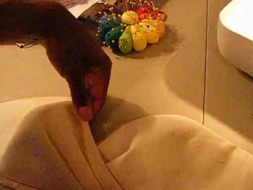 P8 Summer Solstice Maxi Dress How To Video