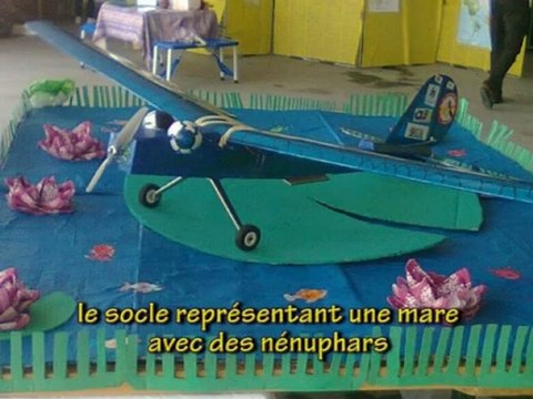 Projet Rêves de Gosse - Le voyage de la libellule