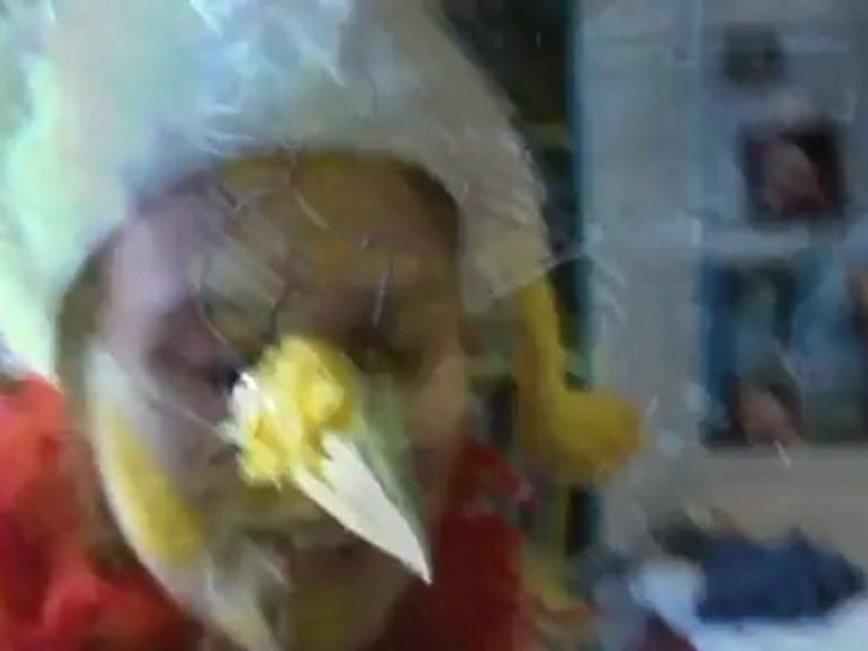 EVG CLIP