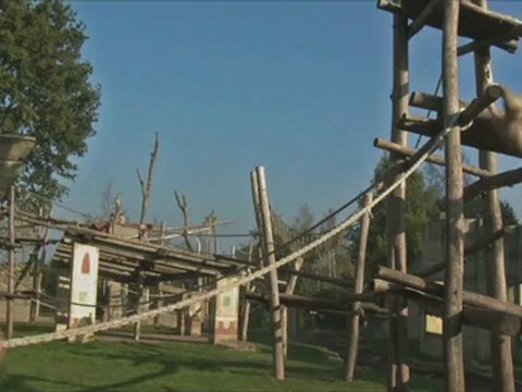 LES MOUVEMENTS DU BASSIN - Bande-annonce VF