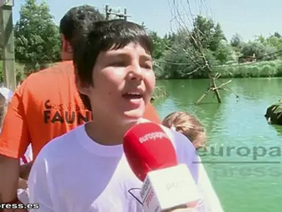 ¡Nos vamos de campamento!