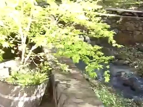 The Bremer Winery, Napa Valley Wine Tour App