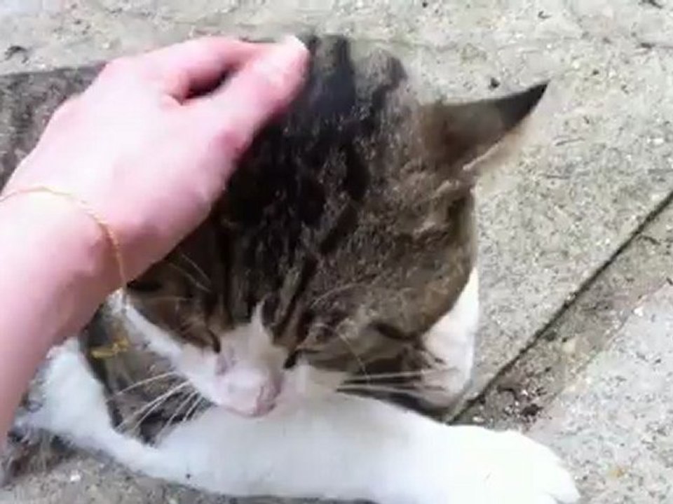 Boubouille et Thaï attendent la bouffe