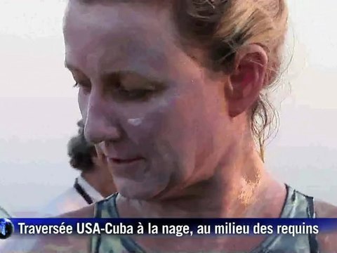 Nager au milieu des requins: le défi d'une Australo-britannique