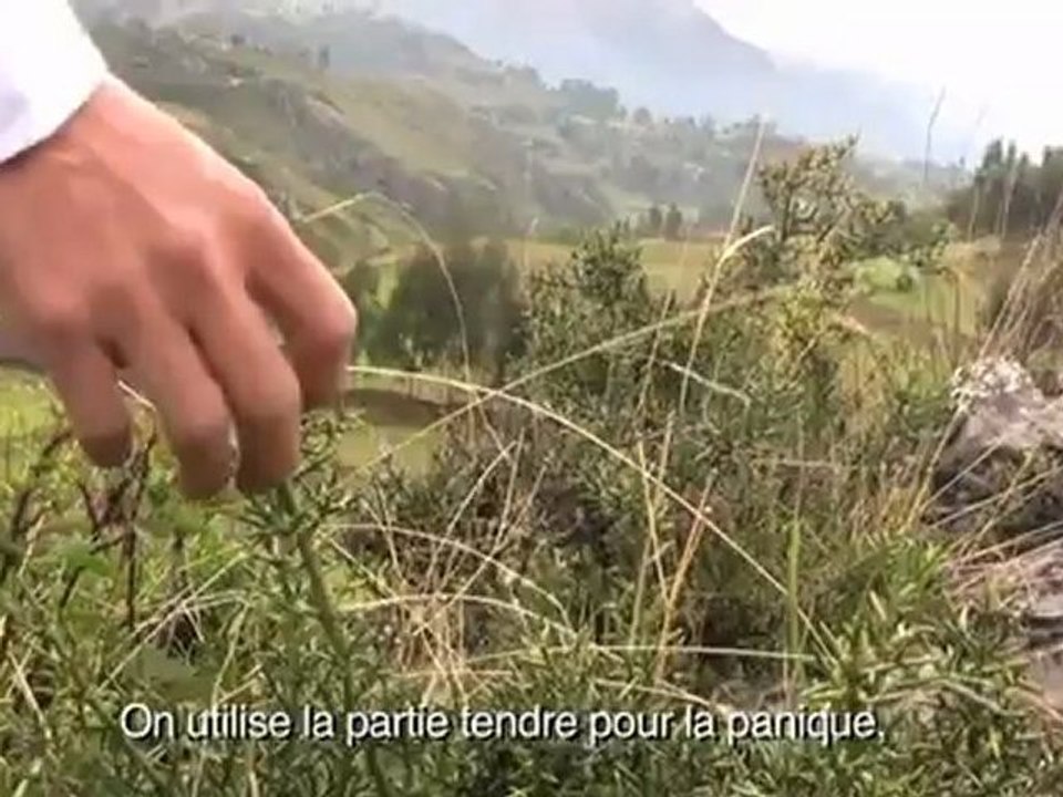 CHAKARUNA KUNA Les Hommes Ponts