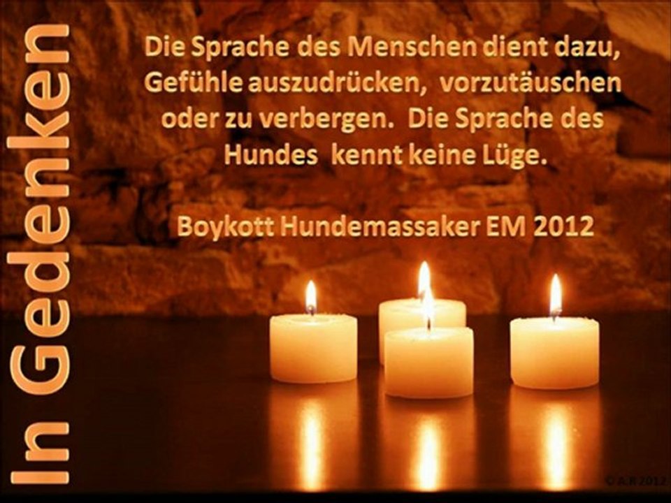 Boykott hundemassaker em 2012