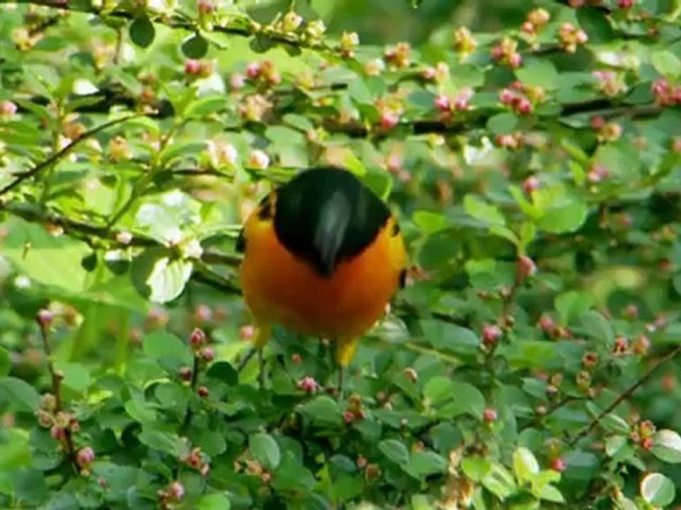 HBO Documentary Summer Series: Director's Interview