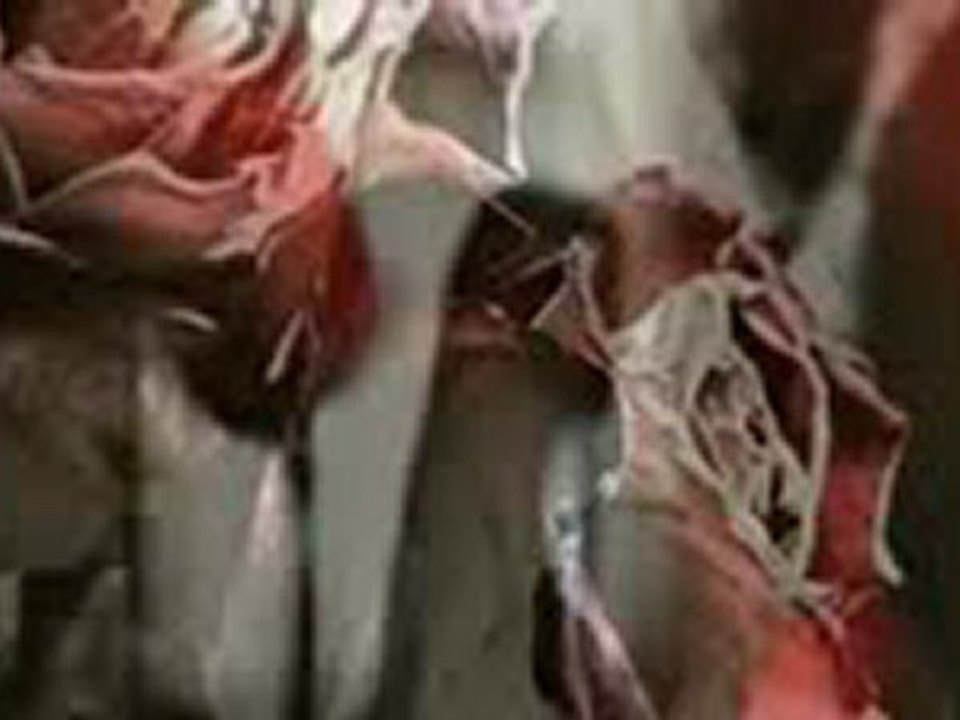 WWW.SESLİNESE.NET MÜZİK SESLİ NESE.NET