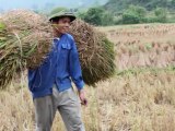 Cao Bang - Ban Gioc