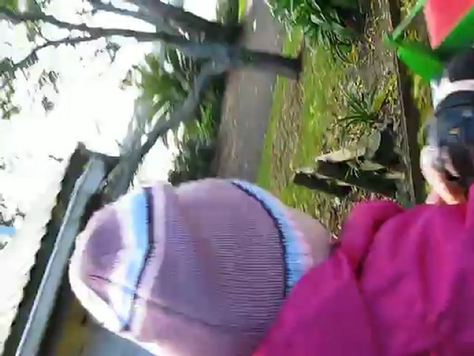 Le petit train