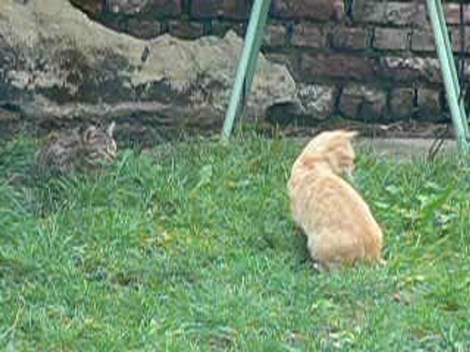 Visite surprise