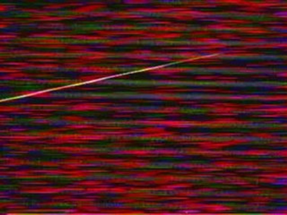 Berurier Noir - Les enfants du Rock