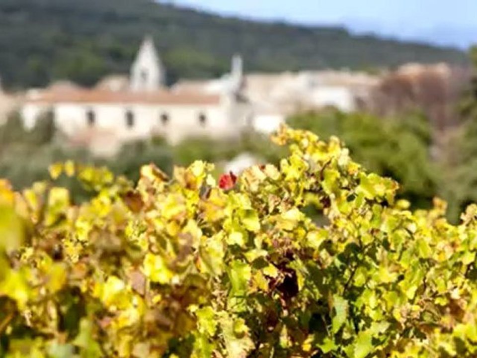 Welcome to the Rhone Valley